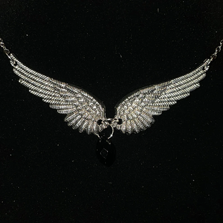 Wings of and Angel
