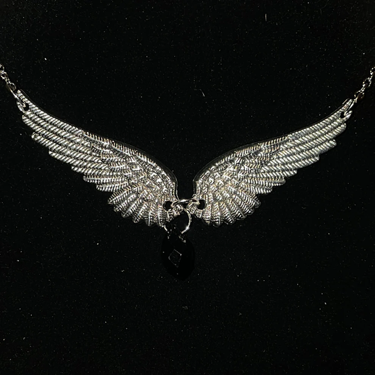 Wings of and Angel