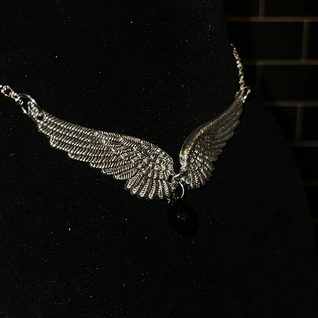 Wings of and Angel