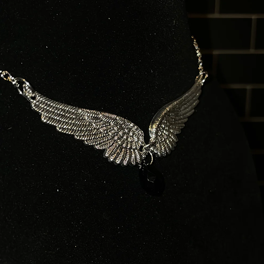 Wings of and Angel